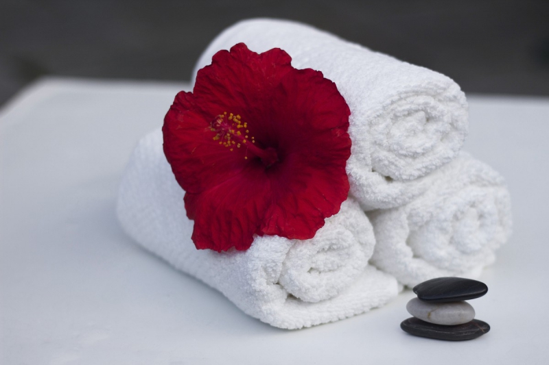 hotel-LE PRADET-min_towel_hibiscus_clean_care_salon_spa_white_bath-869834